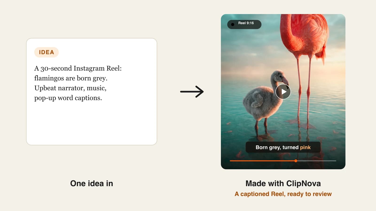AI reel generator: a one-line idea about grey flamingo chicks turned into a captioned Instagram Reel made with ClipNova