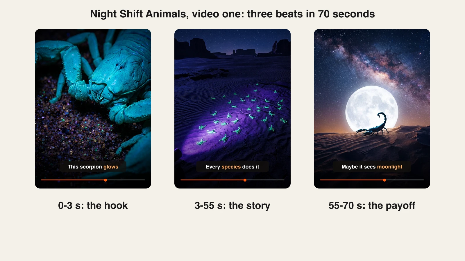 Faceless TikTok example: hook, story and payoff frames from one 70-second Night Shift Animals video
