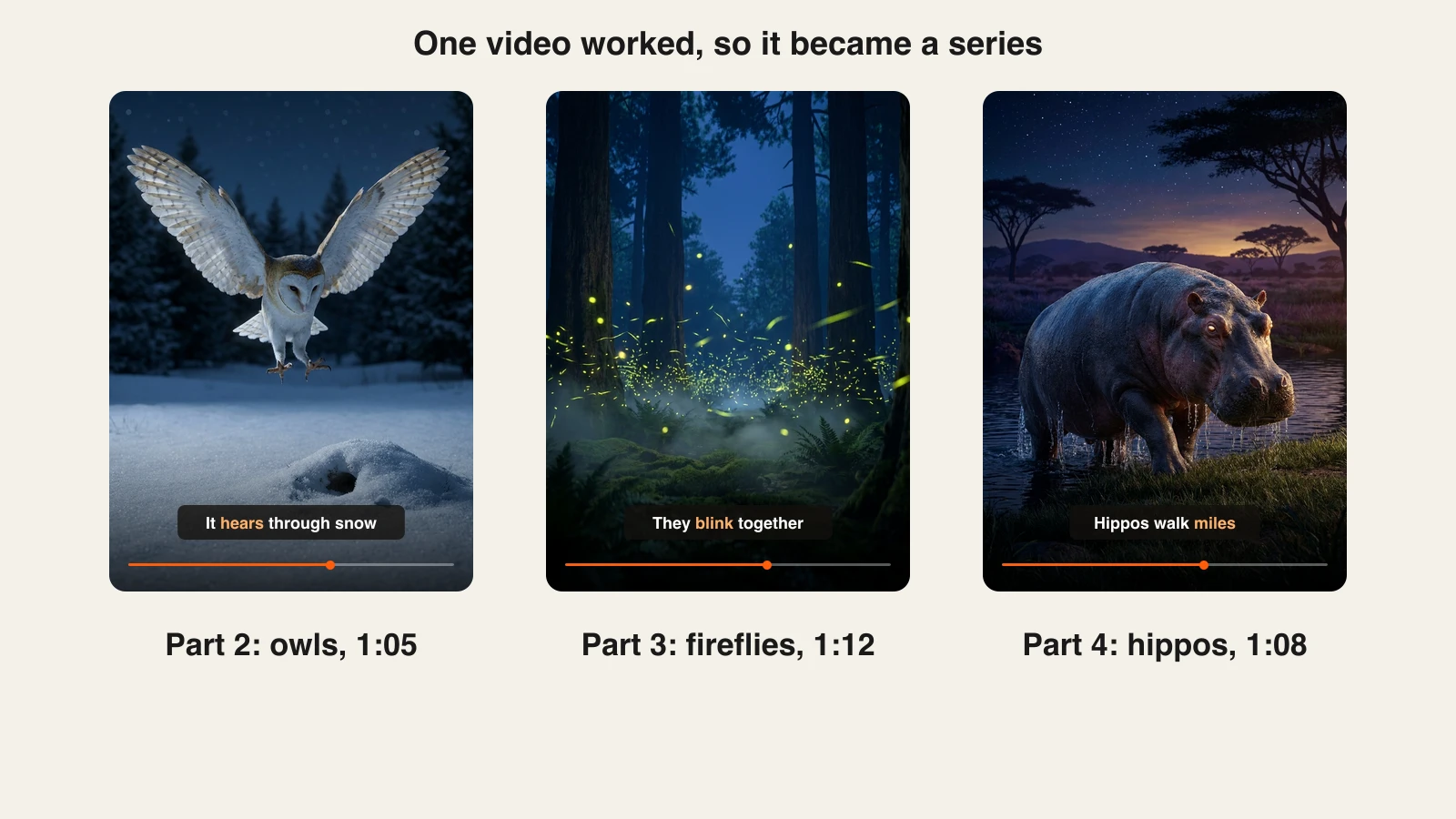 Faceless TikTok account series: three follow-up videos on owls, fireflies and hippos at night